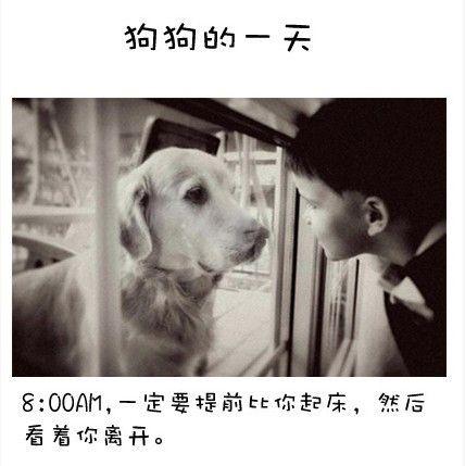 狗狗的内心独白连环画1