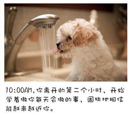 狗狗的内心独白连环画3