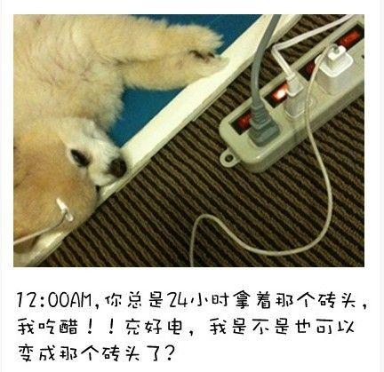 狗狗的内心独白连环画4