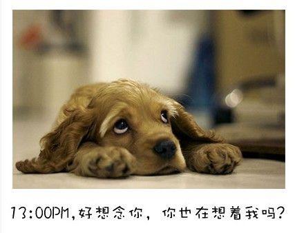 狗狗的内心独白连环画5