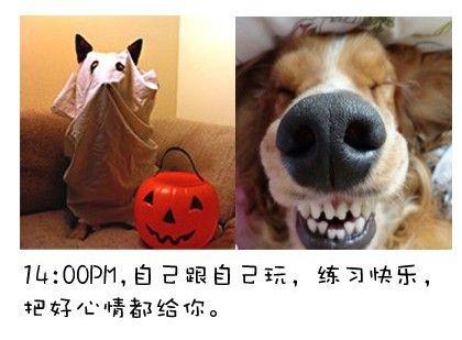 狗狗的内心独白连环画6