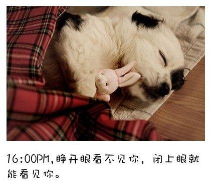 狗狗的内心独白连环画8