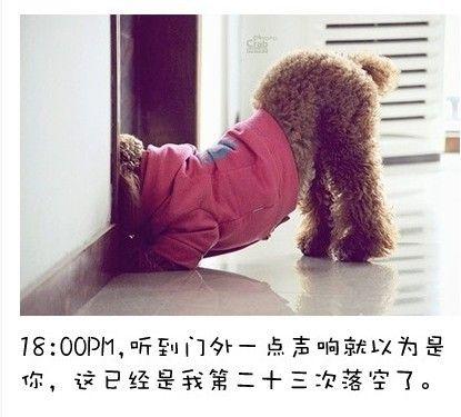 狗狗的内心独白连环画10