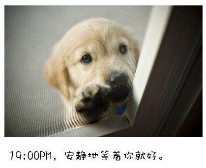 狗狗的内心独白连环画11