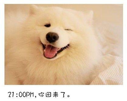 狗狗的内心独白连环画13