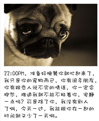 狗狗的内心独白连环画14