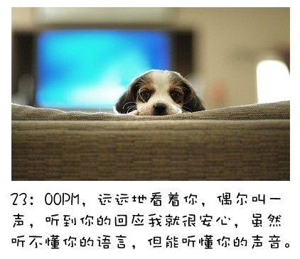 狗狗的内心独白连环画15