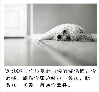 狗狗的内心独白连环画16