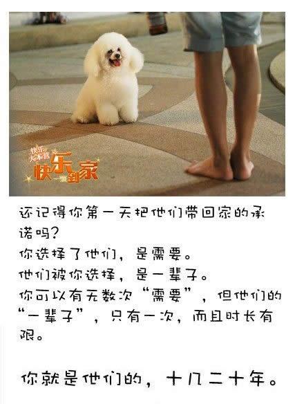 狗狗的内心独白连环画17