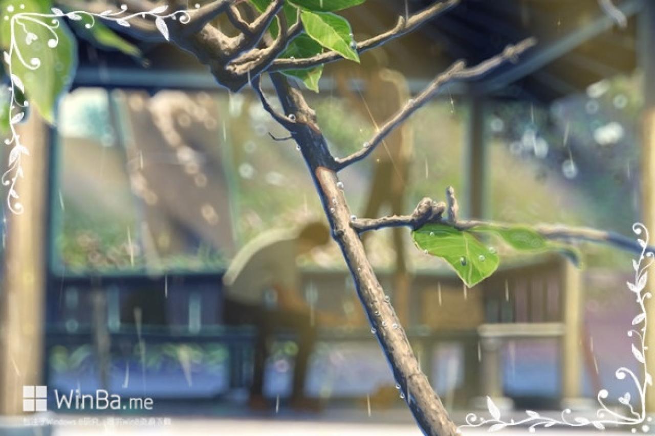 言叶之庭唯美画风场景精选——雨后树枝上的雨露