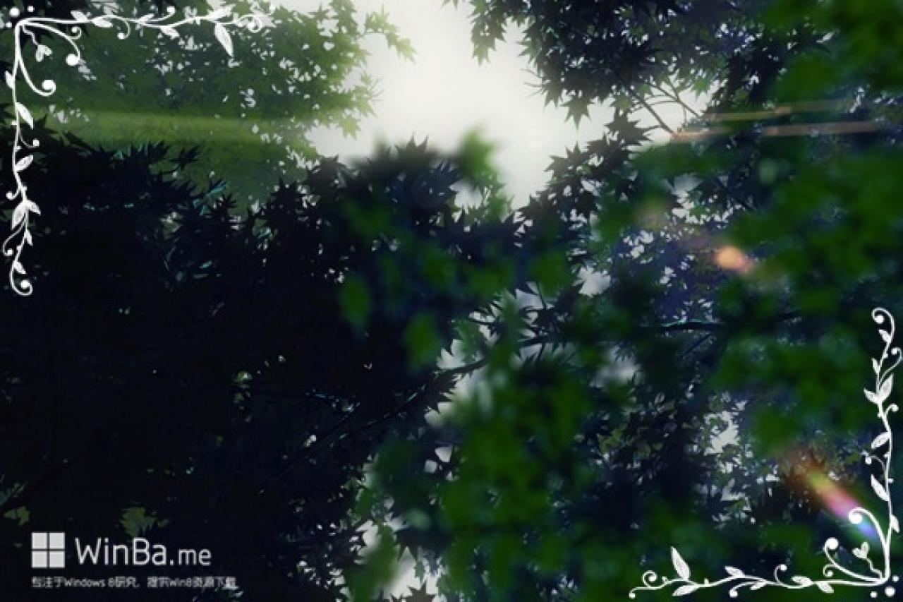 言叶之庭唯美画风场景精选——茂密的林叶