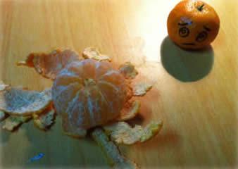 音乐散文茉莉橘子封面