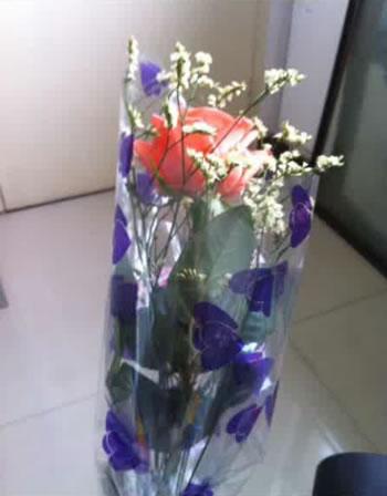 天天老师在教师节收到的礼物——小花