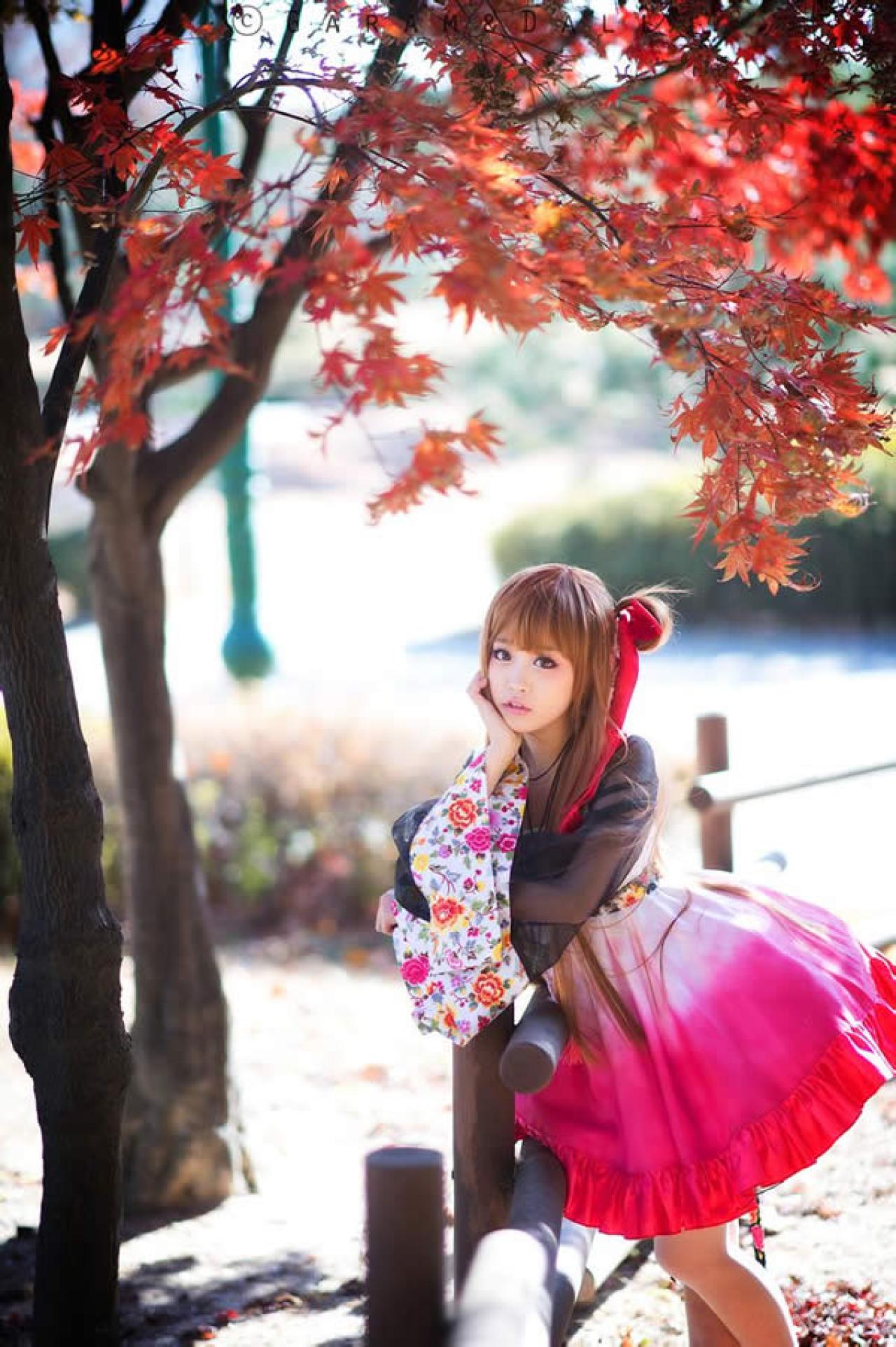 兔娘依偎着木头栏杆