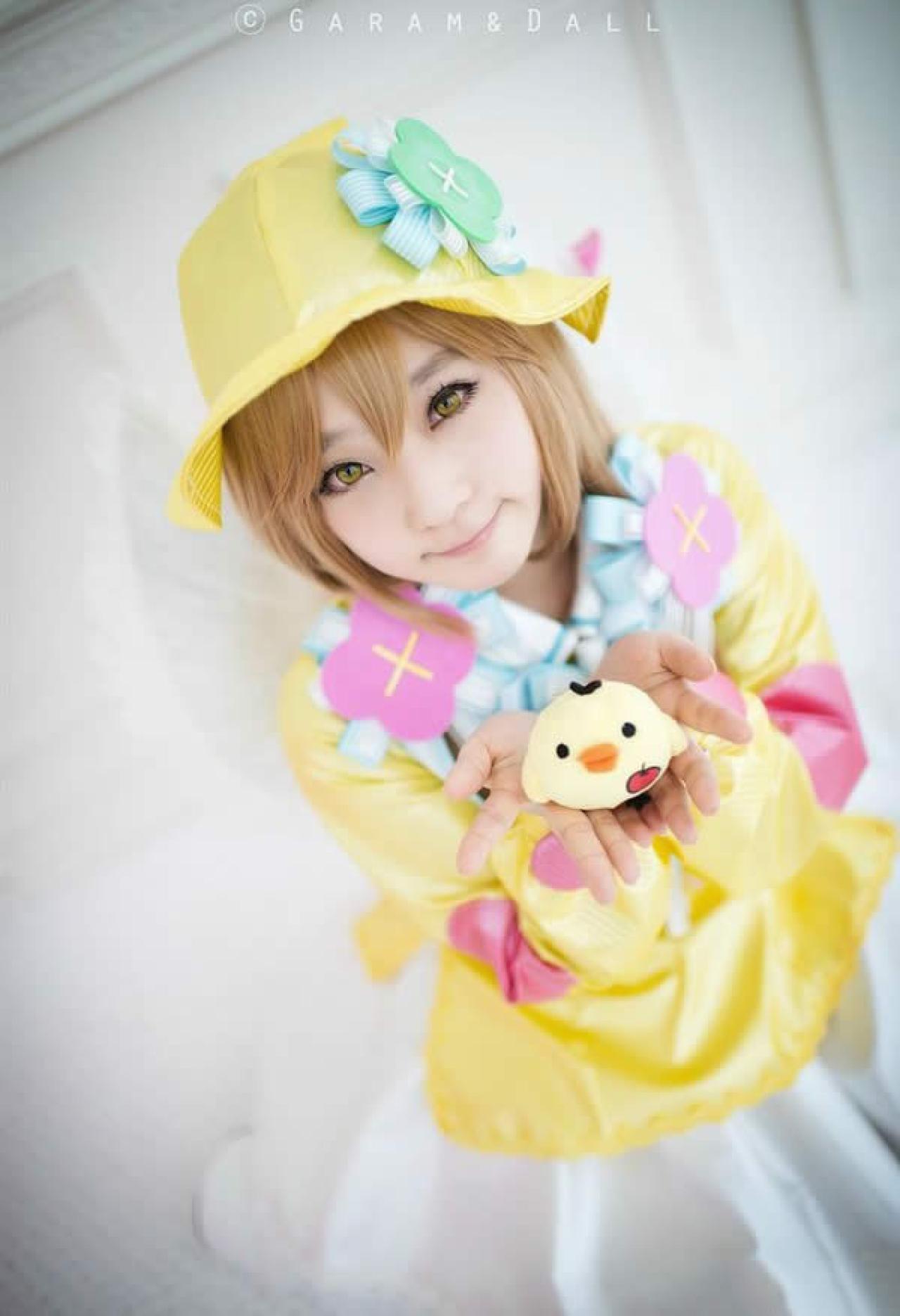 螺旋猫微笑着捧着小鸡玩具的小黄帽