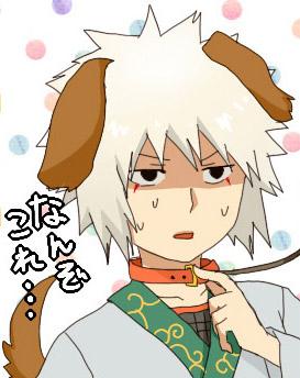 狗耳朵，还有项圈