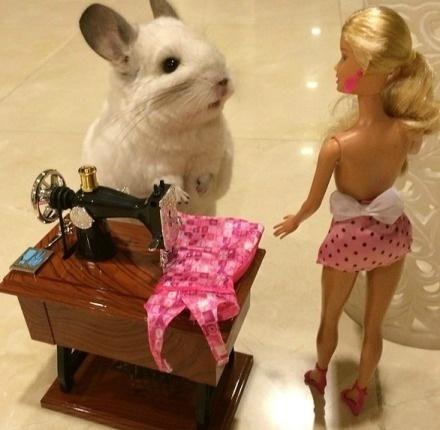 龙猫布布正在给芭比娃娃缝裙子