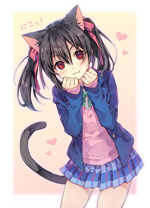 戴着猫耳和猫耳朵，扮小猫卖萌的矢泽妮可手机壁纸