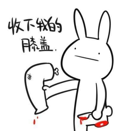 逗比小兔子卖萌表情：取下膝盖，请收下我的膝盖