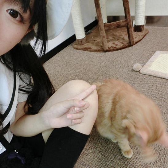 尾喵食指指了指小猫，小猫正用小爪子挠自己的脑袋，并抖动着全身的毛