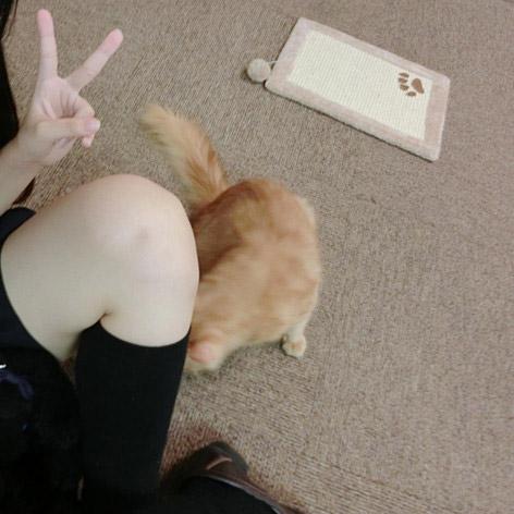 猫咪想要把脑袋藏到尾喵的大腿里