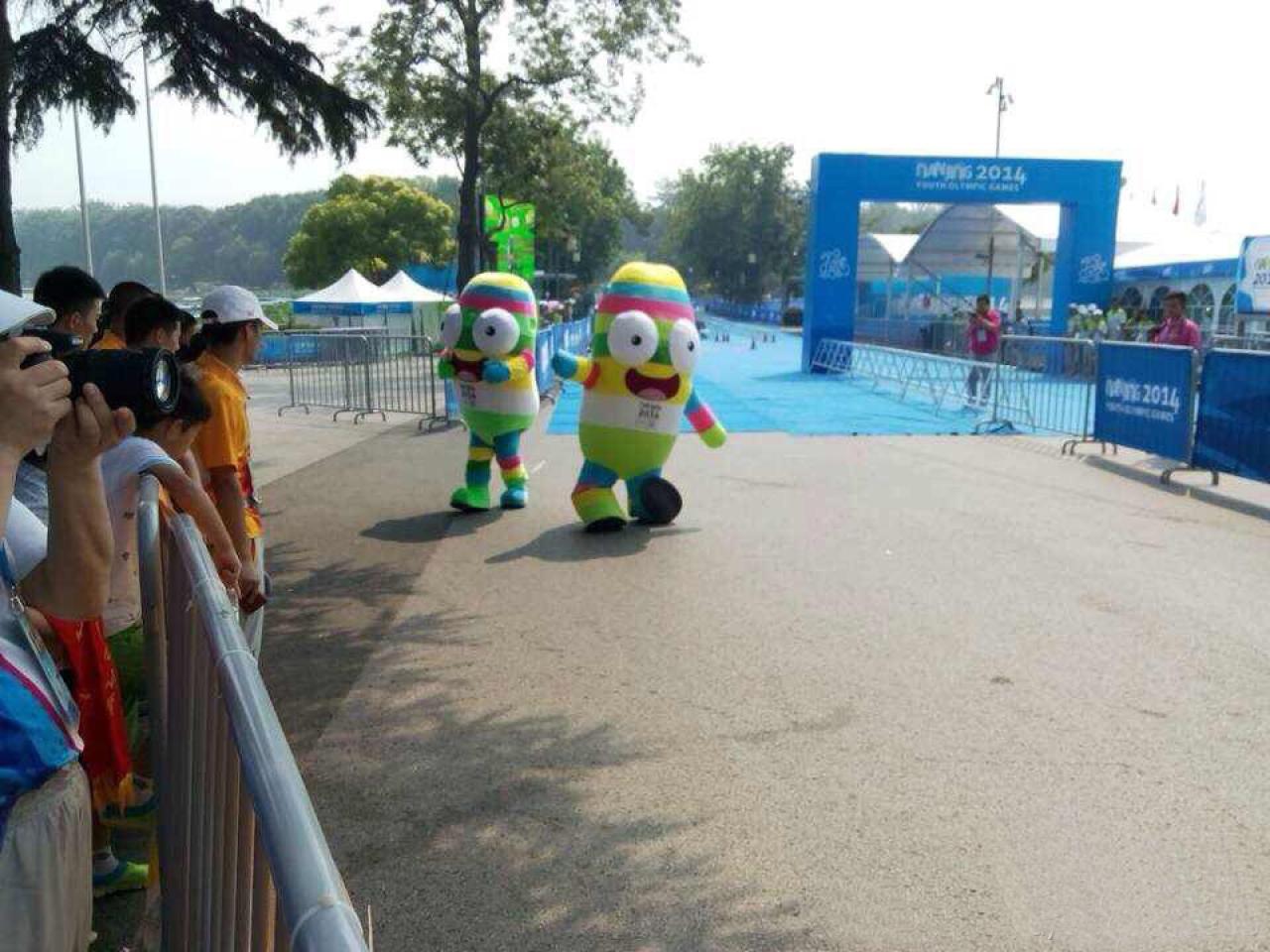 前面的一只砳砳站立不稳，正努力保持平衡