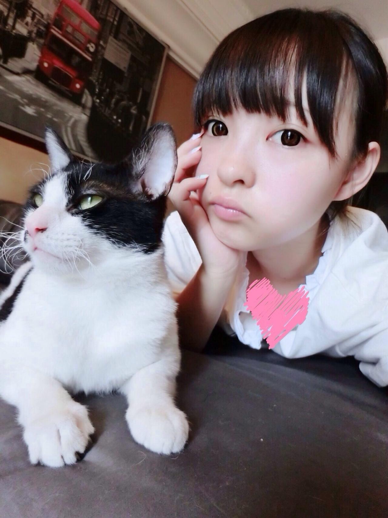 左侧是黑白皮毛的猫咪，右侧是嘟嘴卖萌的荣小兔头