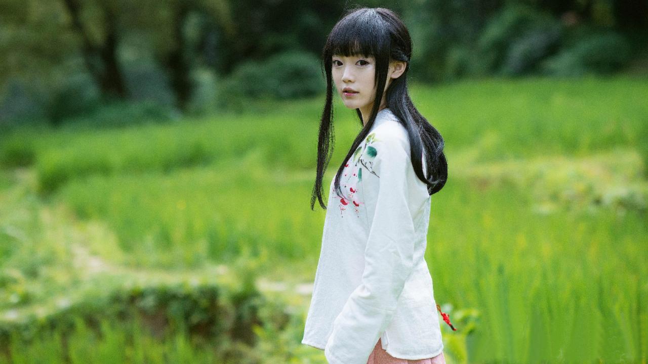 猫小音在草地侧面照