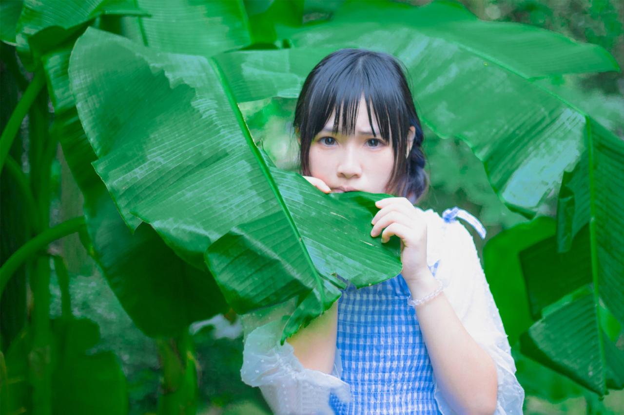九樱喵双手捧起一片宽大的芭蕉叶子，遮挡住半边脸，将叶子放在嘴里抿着的腼腆模样