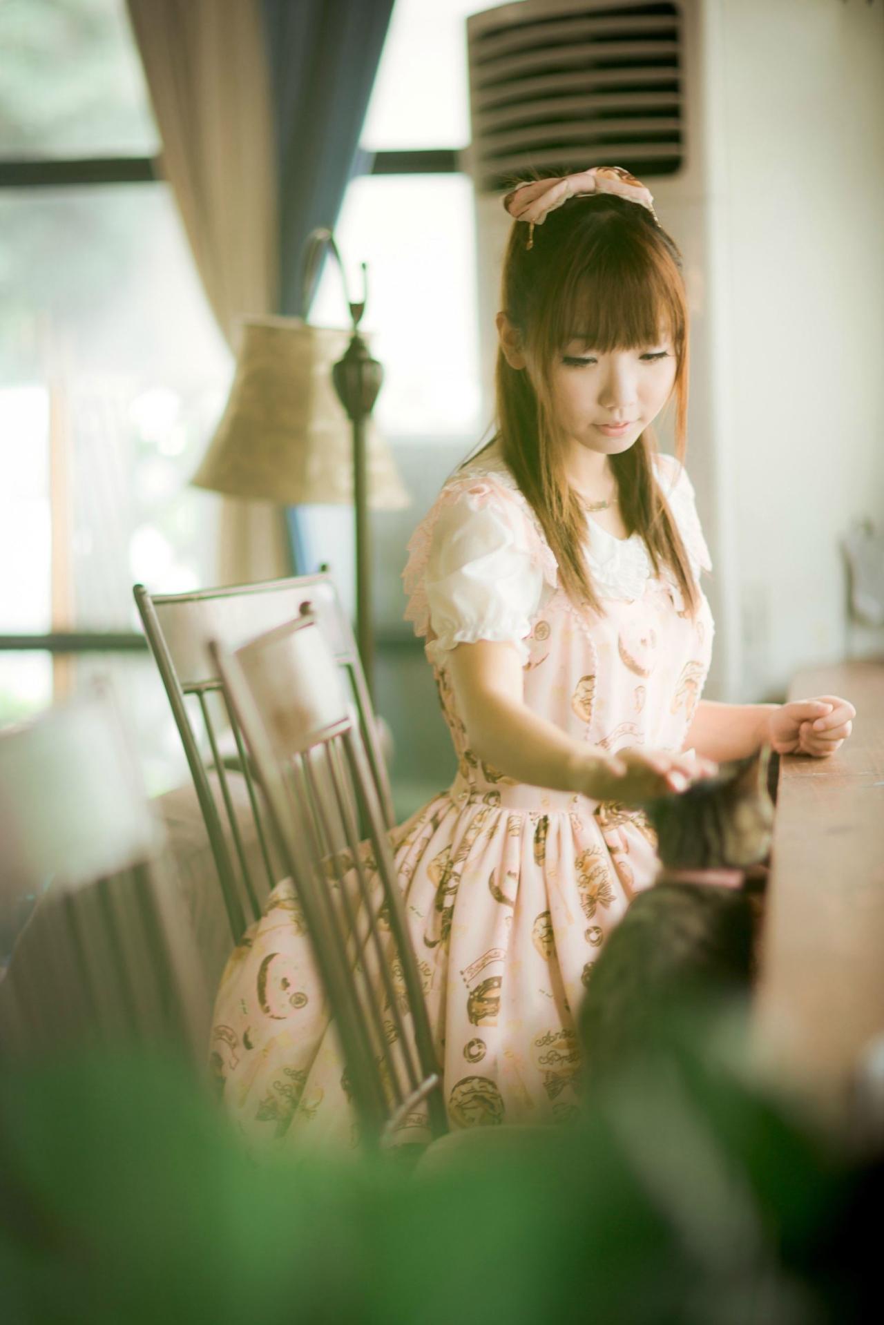 一只棕色小猫咪凑了过来，圆辛子轻抚小猫咪的额头