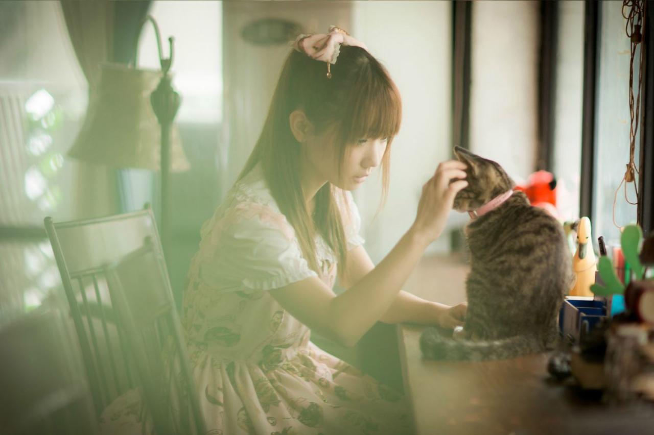 圆辛子很细心的轻捋小猫咪的额头