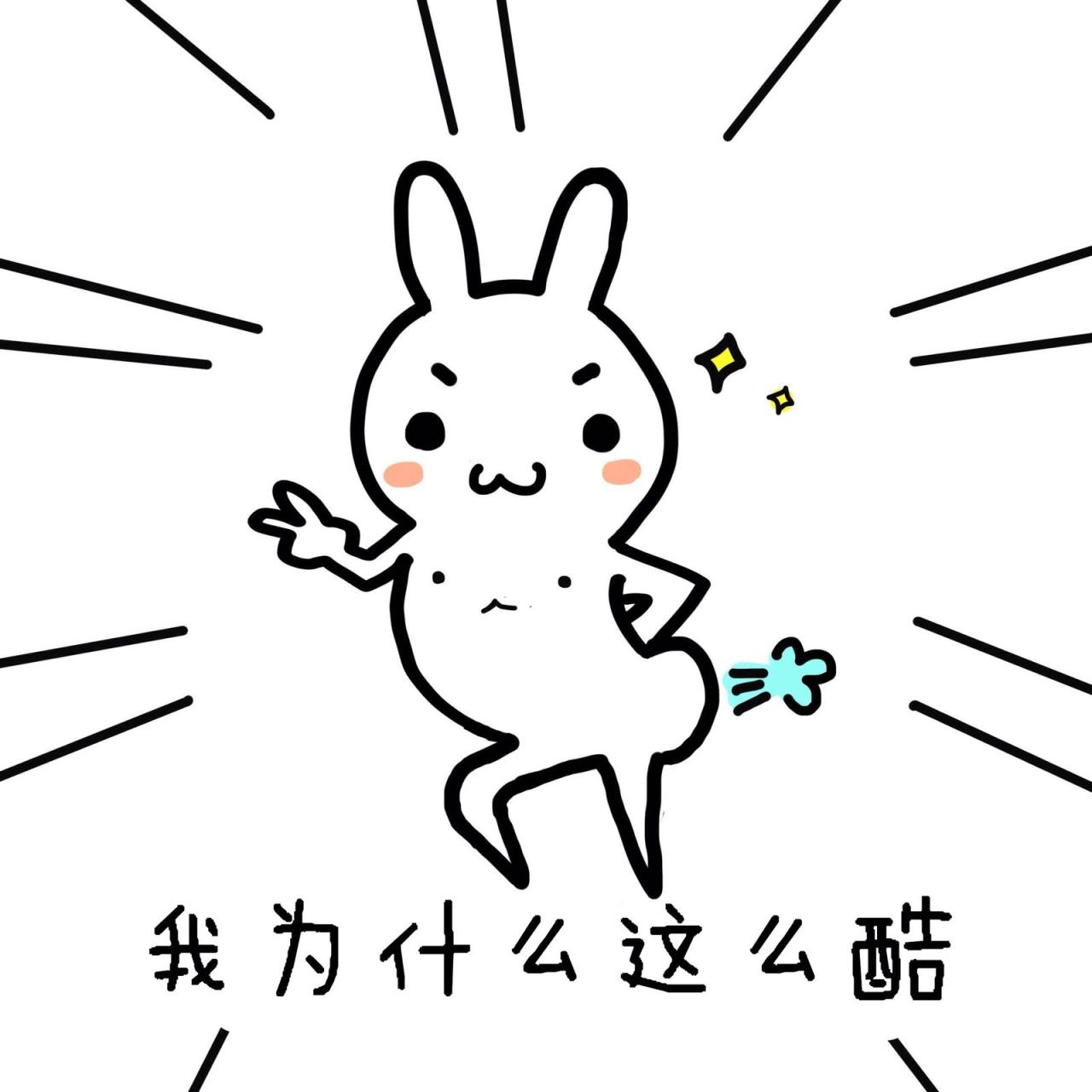 逗比兔：我为什么这么酷 表情