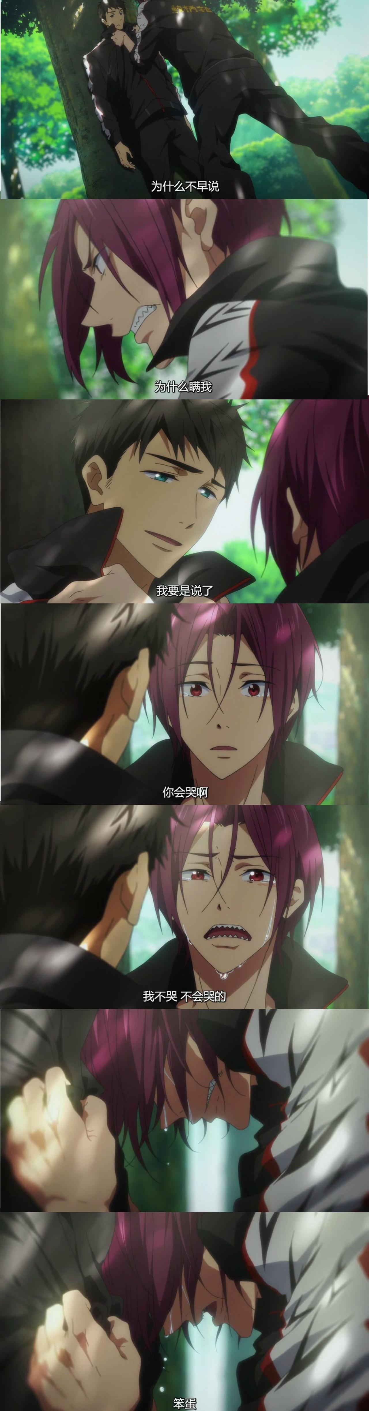 松冈凛拽着山崎宗介的衣领，把他压在树上，质问“为什么不早说？”听到山崎宗介的解释，泪流满面