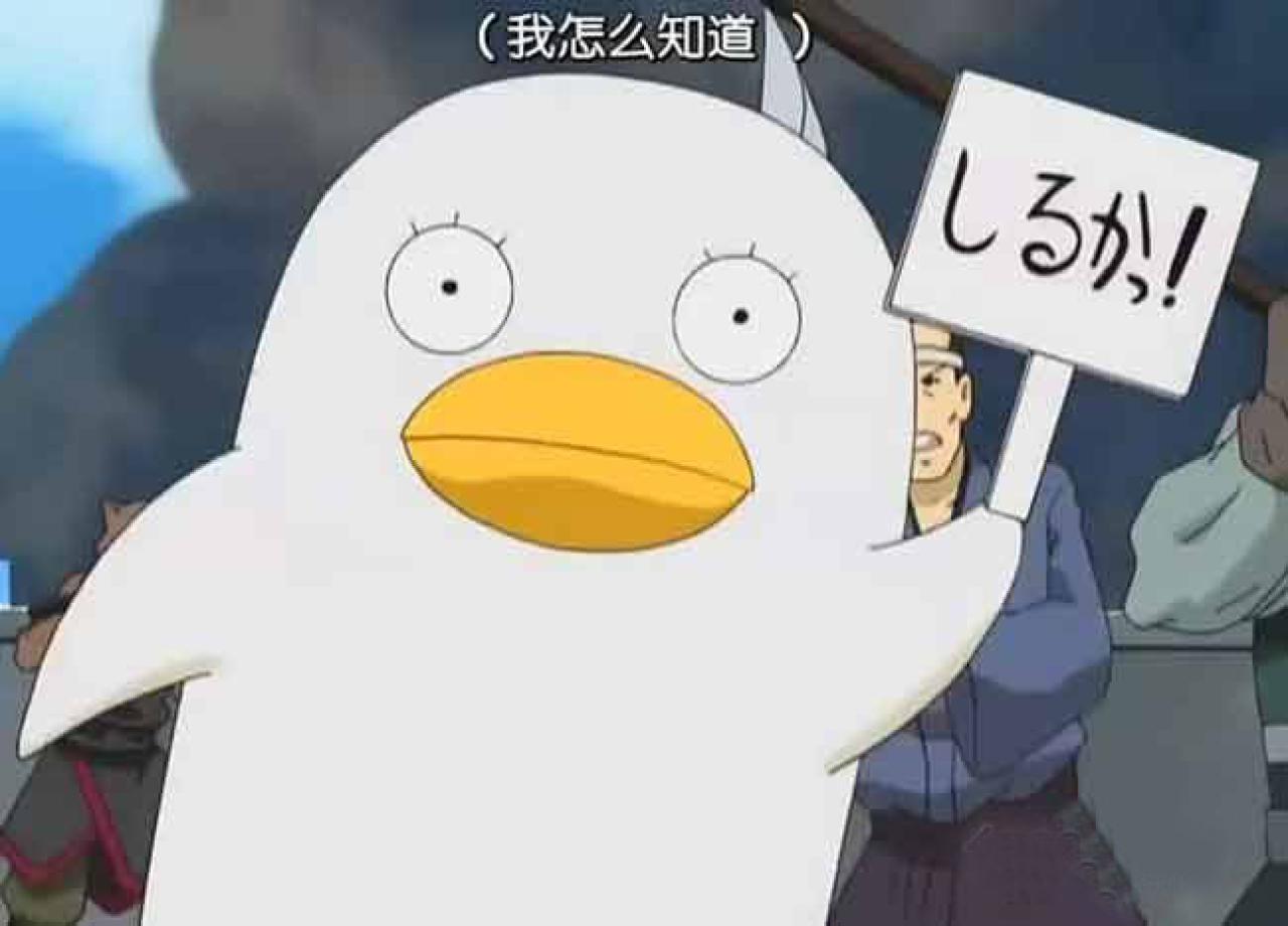 银魂伊丽莎白举牌：我怎么知道