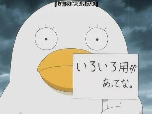 银魂伊丽莎白举牌：我有很多事要办呢