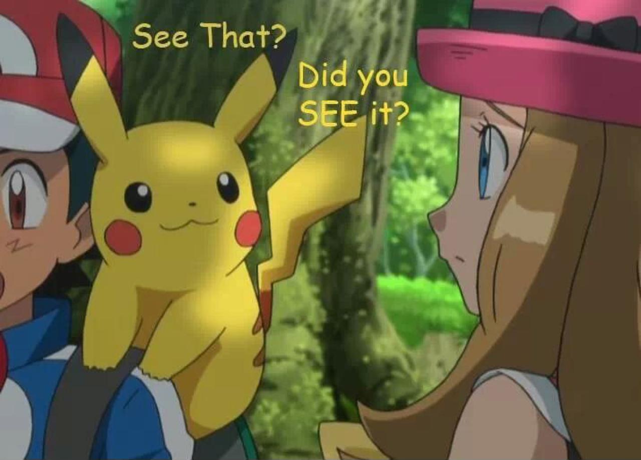 （字幕翻译）皮卡丘：你看见了么？莎莉娜：看见什么了？
