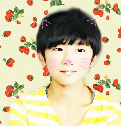 TF刘志宏粉色猫耳头像