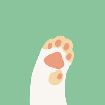 橙色肉垫绿色背景猫爪头像