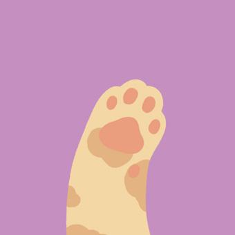 橙色肉垫紫色背景猫爪头像