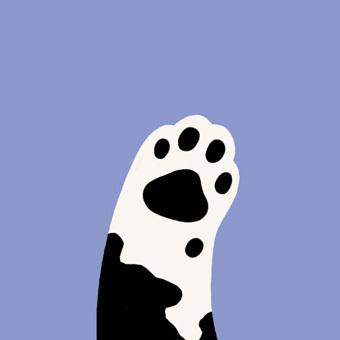 黑色肉垫紫色背景猫爪背景