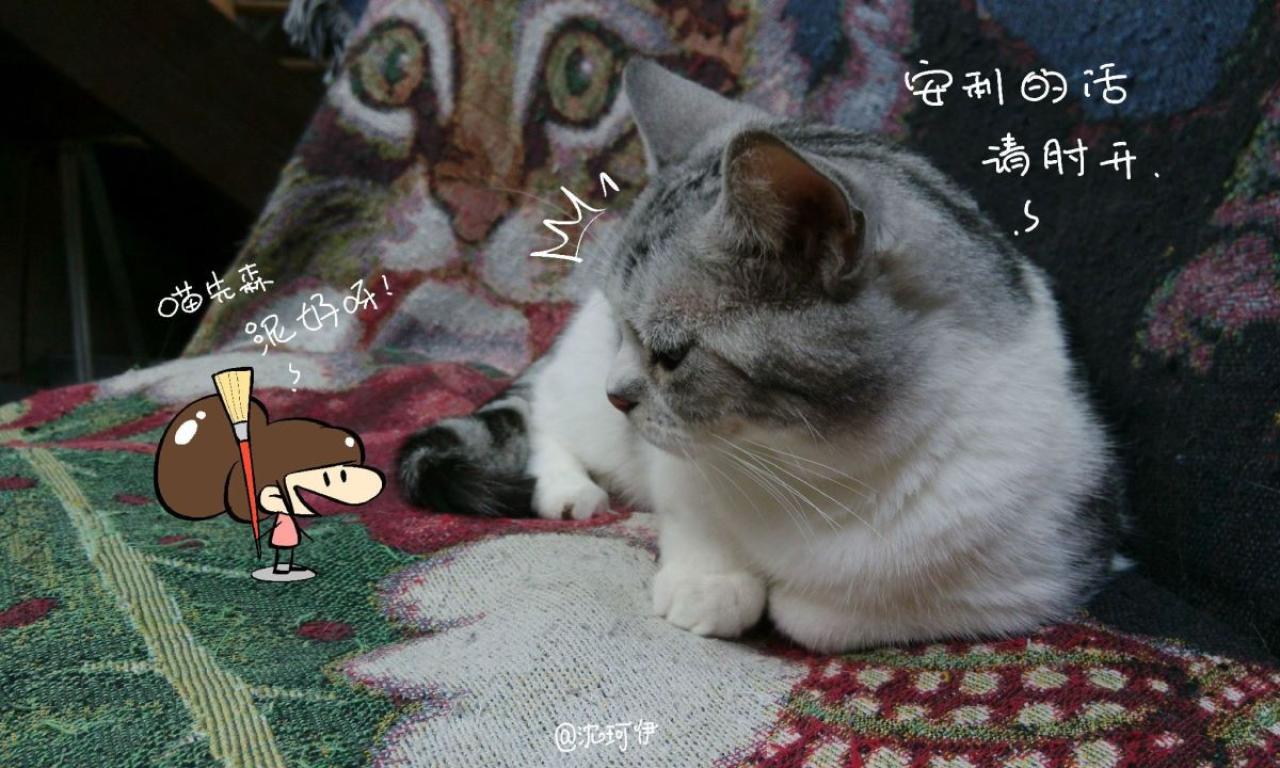 桃子和猫咪打招呼