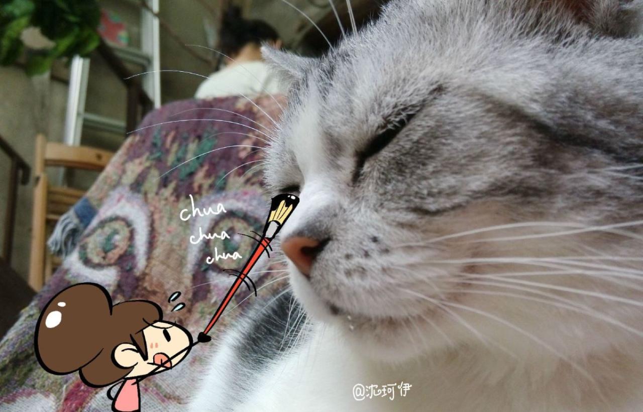 猫咪闭上眼睛，桃子在猫咪脸上绘画