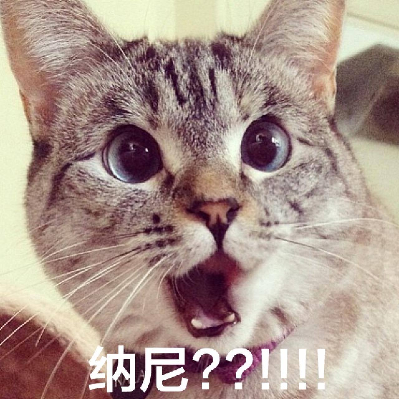 Nala张大嘴吃惊的正面神情：纳尼？？！！！！