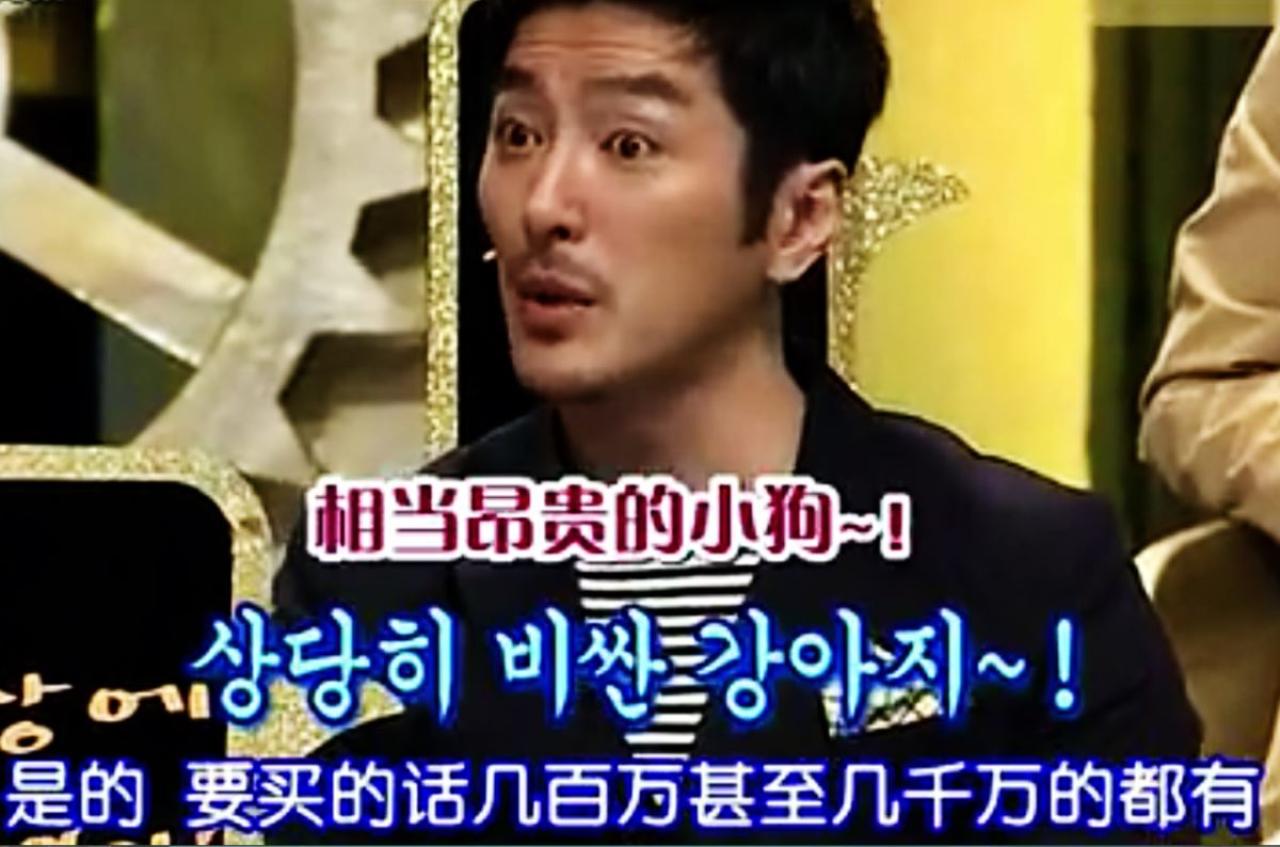 比熊犬是相当昂贵的狗