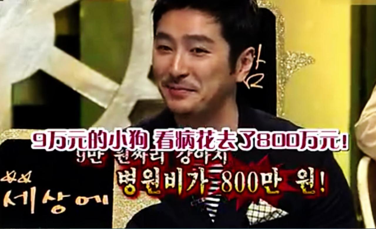 柳泰俊表示给比熊犬看病，花了800万韩元
