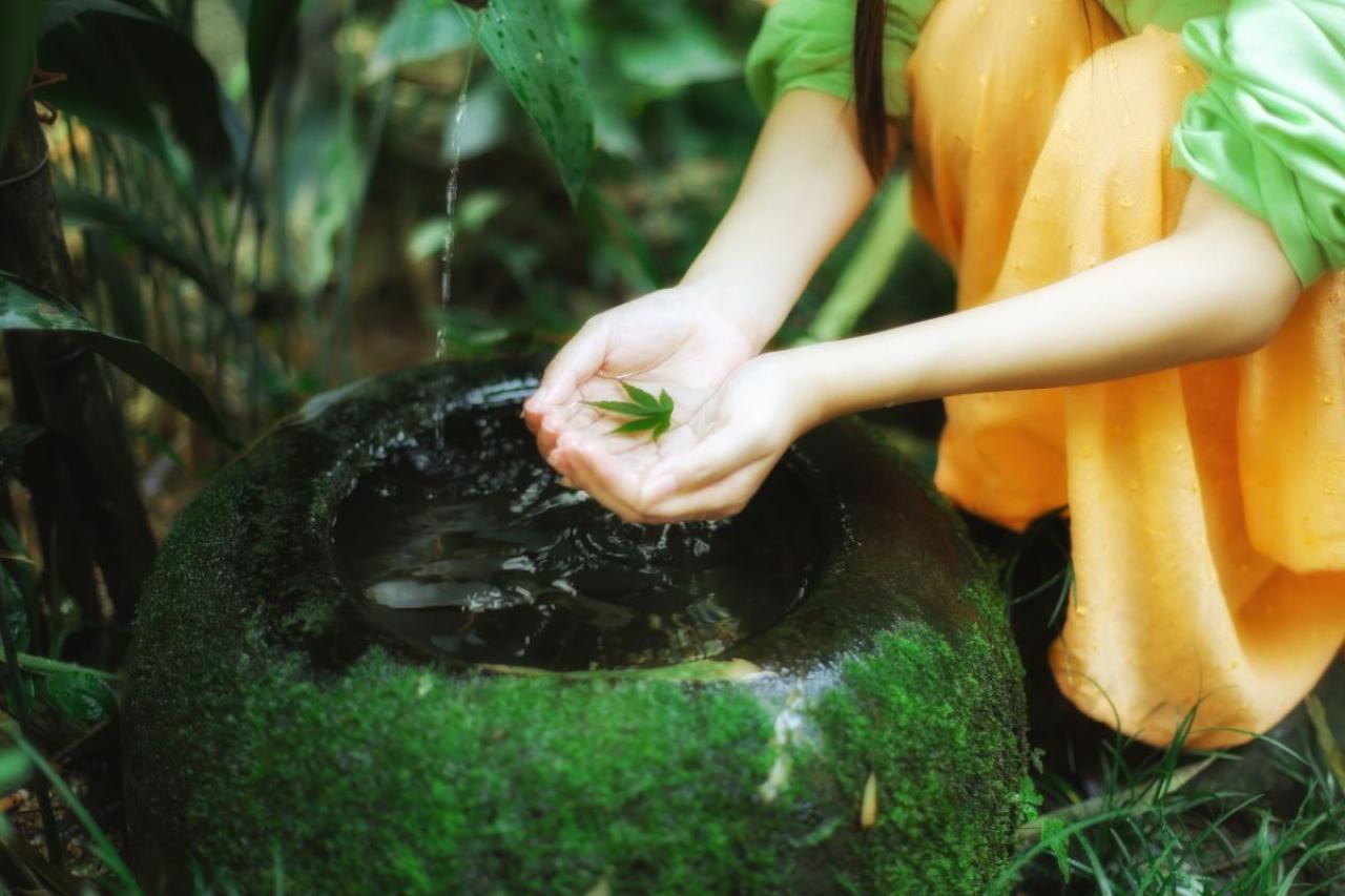 半藏森林在水池边，捧着树叶和水的双手