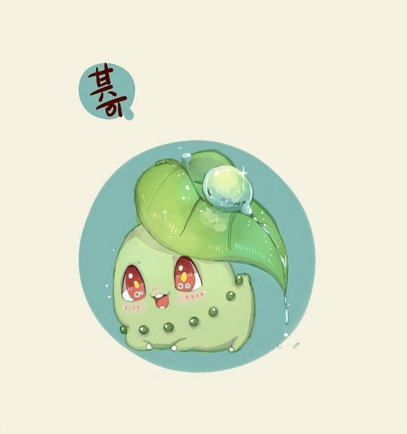 菊草叶用叶子盛着露珠的头像：其可