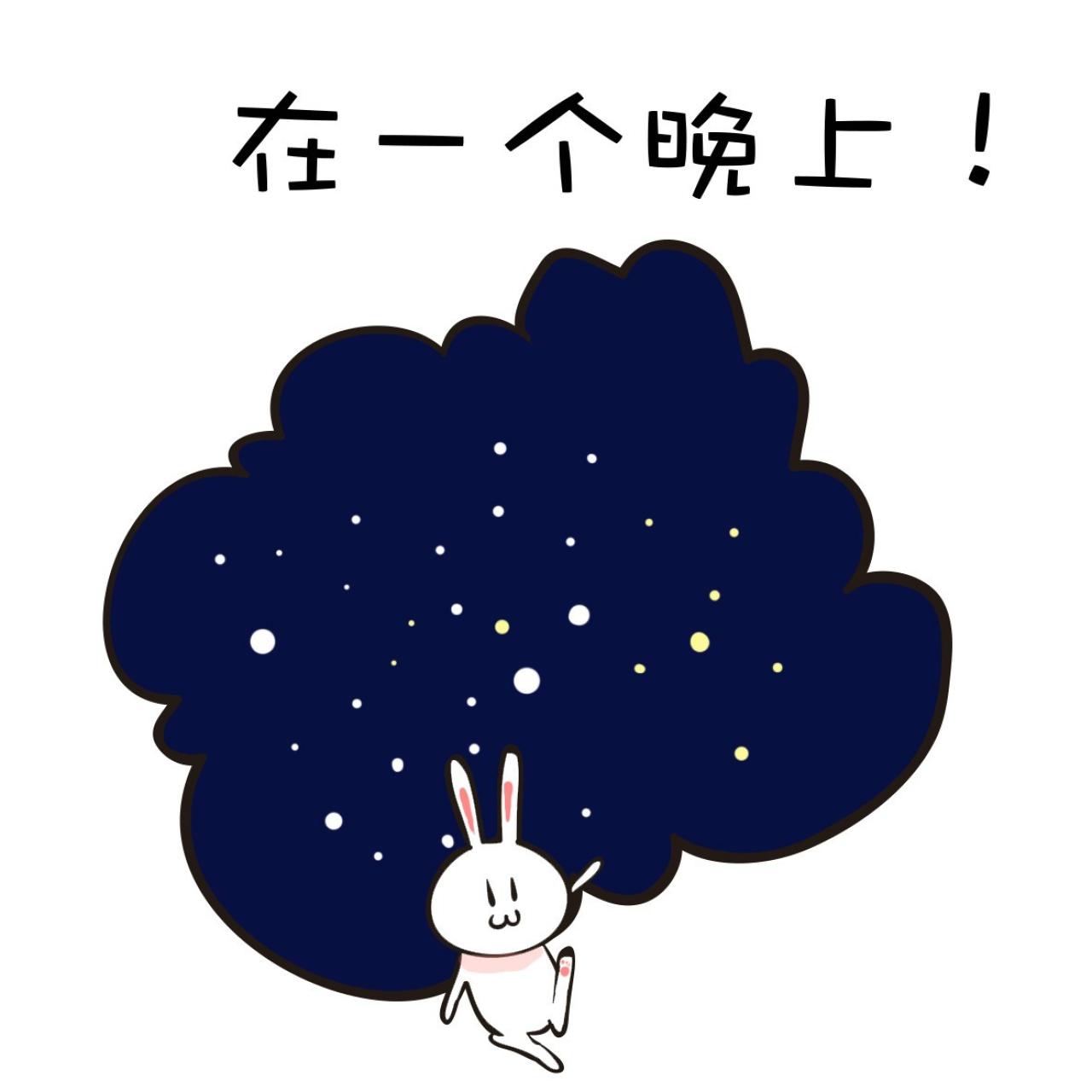 在星空下的小兔子表情：在一个晚上！
