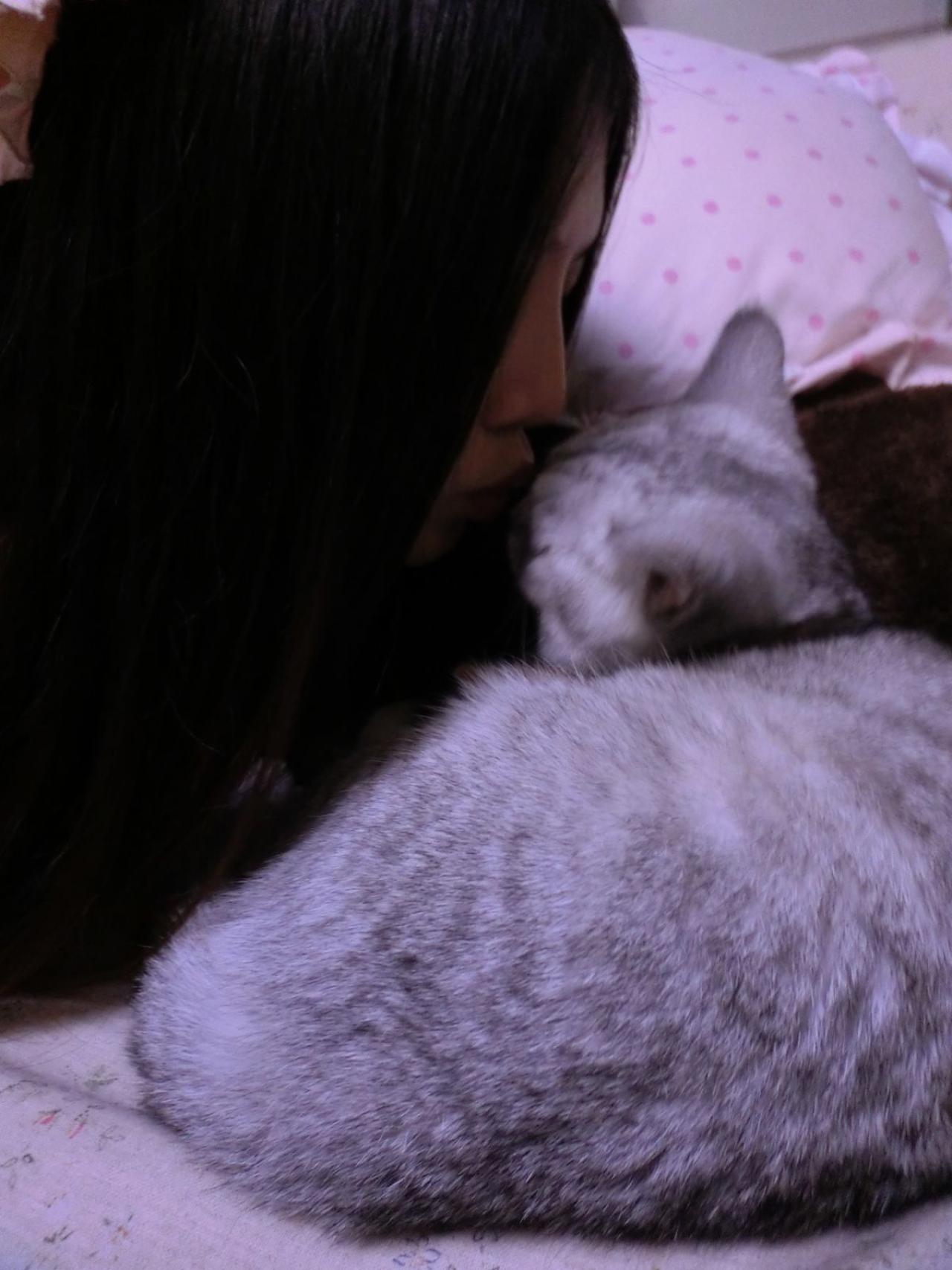 奕青含亲吻猫咪