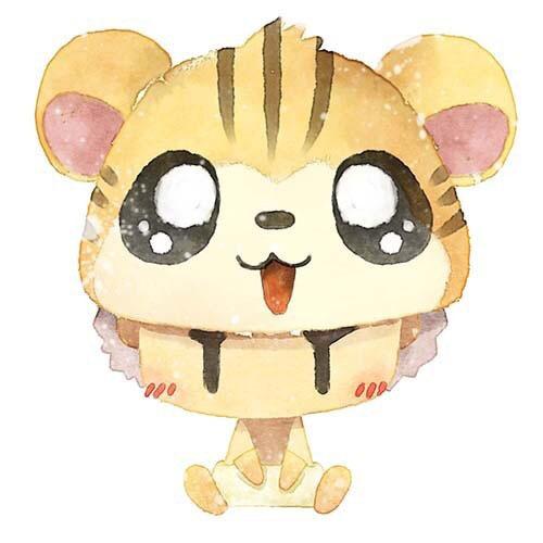 情侣头像男用：虎妹Sandy头饰男孩头像